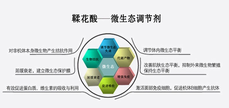 长沙市政府门户网站欢迎您！-政务动态