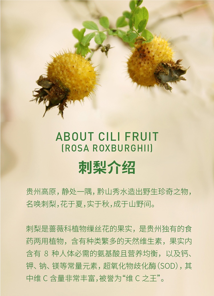 【贵州大山的刺梨金果】黔益堂刺梨干 128g*5袋
