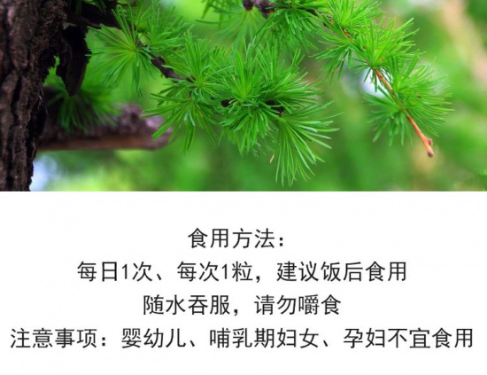 恒依堂松针油54g/瓶*12瓶