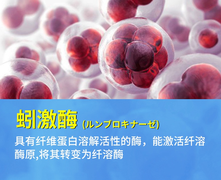 【身心的舒适健康】dr.d∧oking脉舒冷敷凝胶*6支