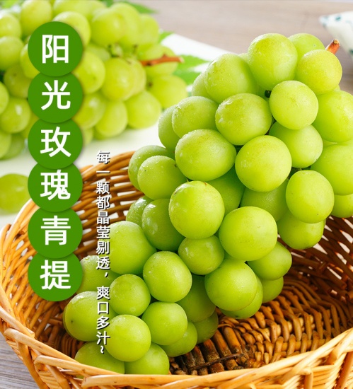 玫瑰香味甜蜜诱人边走边淘云南阳光玫瑰青提3斤装串装